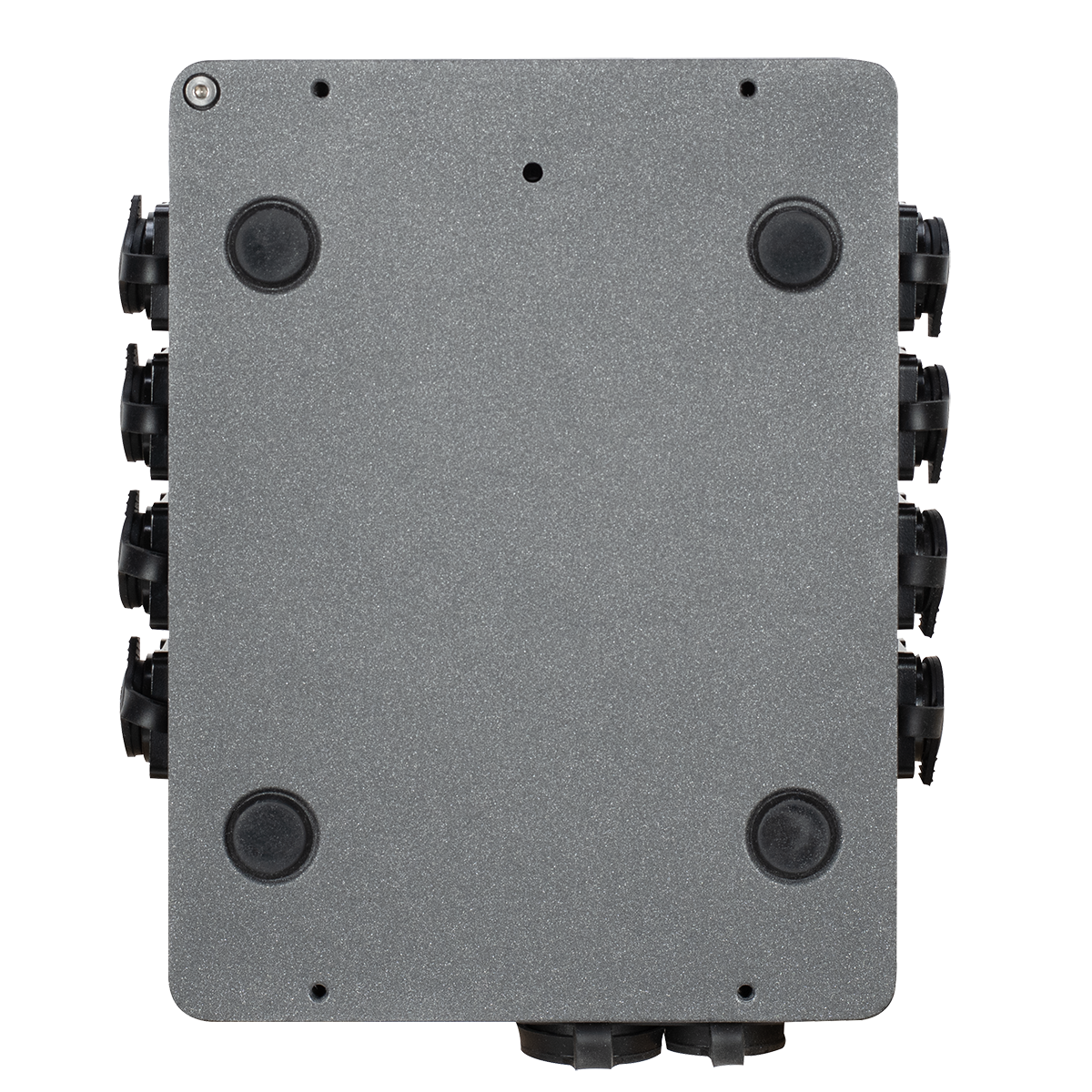 Netron RDM6 IP