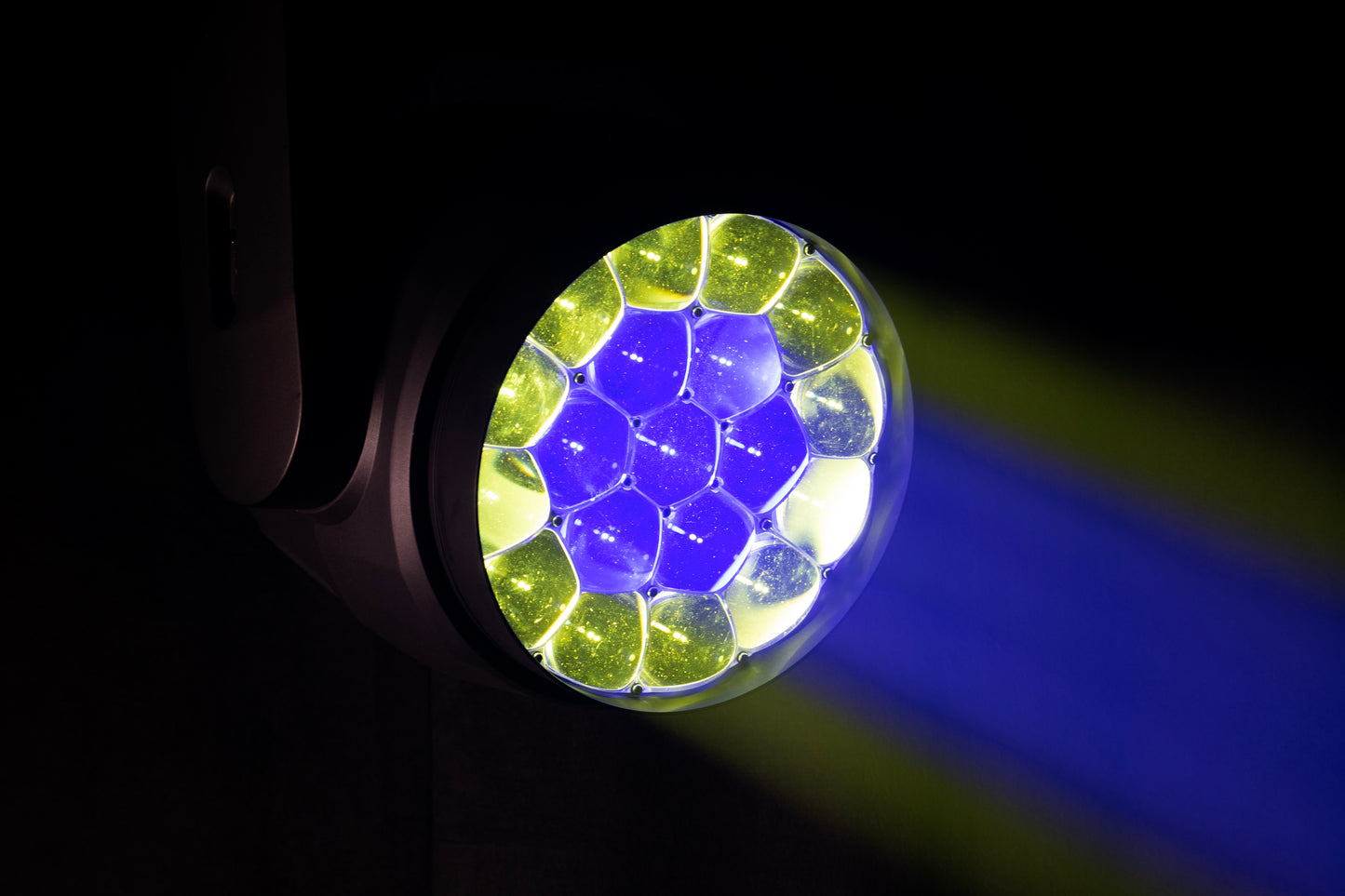 Focus Flex L19