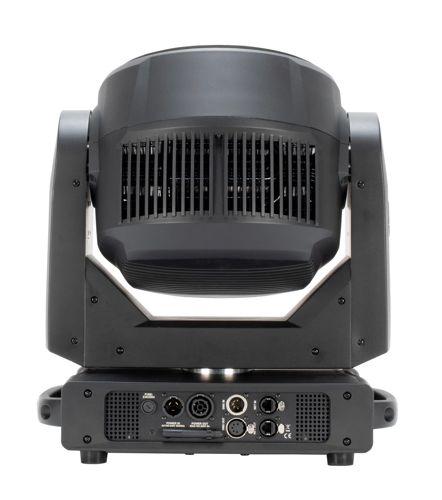 Focus Flex L19