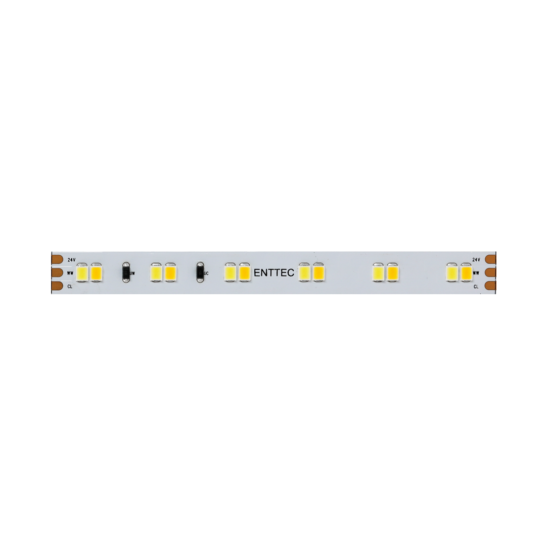 Tunable White CV Tape 24V 10M