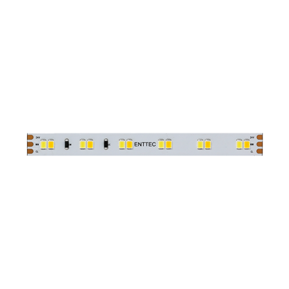 Tunable White CV Tape 24V 10M