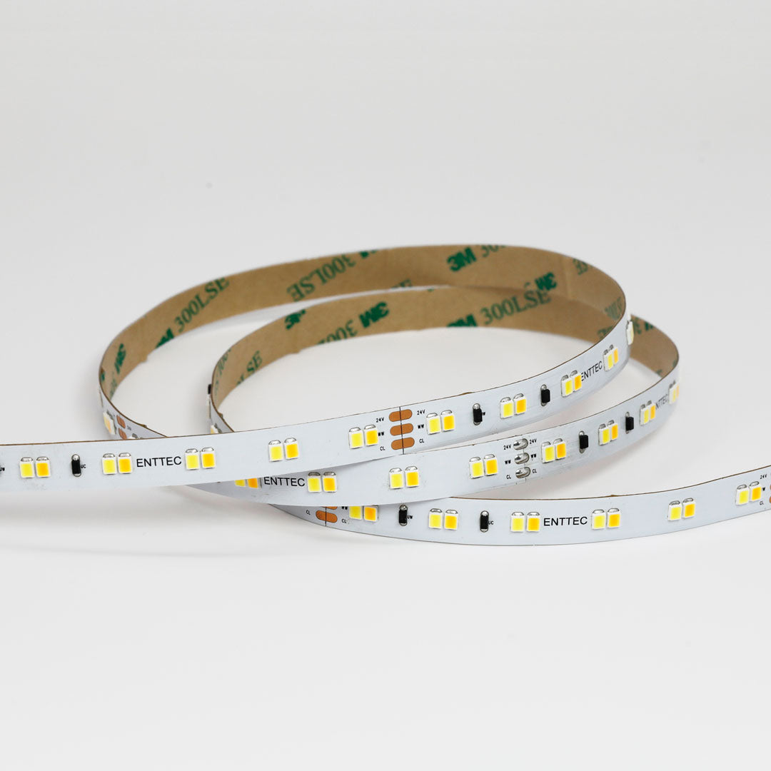 Tunable White CV Tape 24V 10M