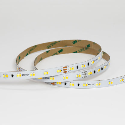 Tunable White CV Tape 24V 10M
