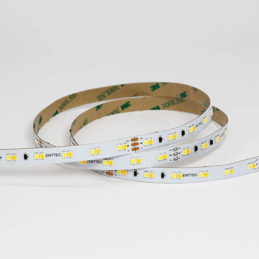 Tunable White CV Tape 24V 10M