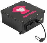 NeonStripe Box Powered Controller