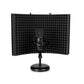 Frameworks 12x16 Mic Isolation Shield