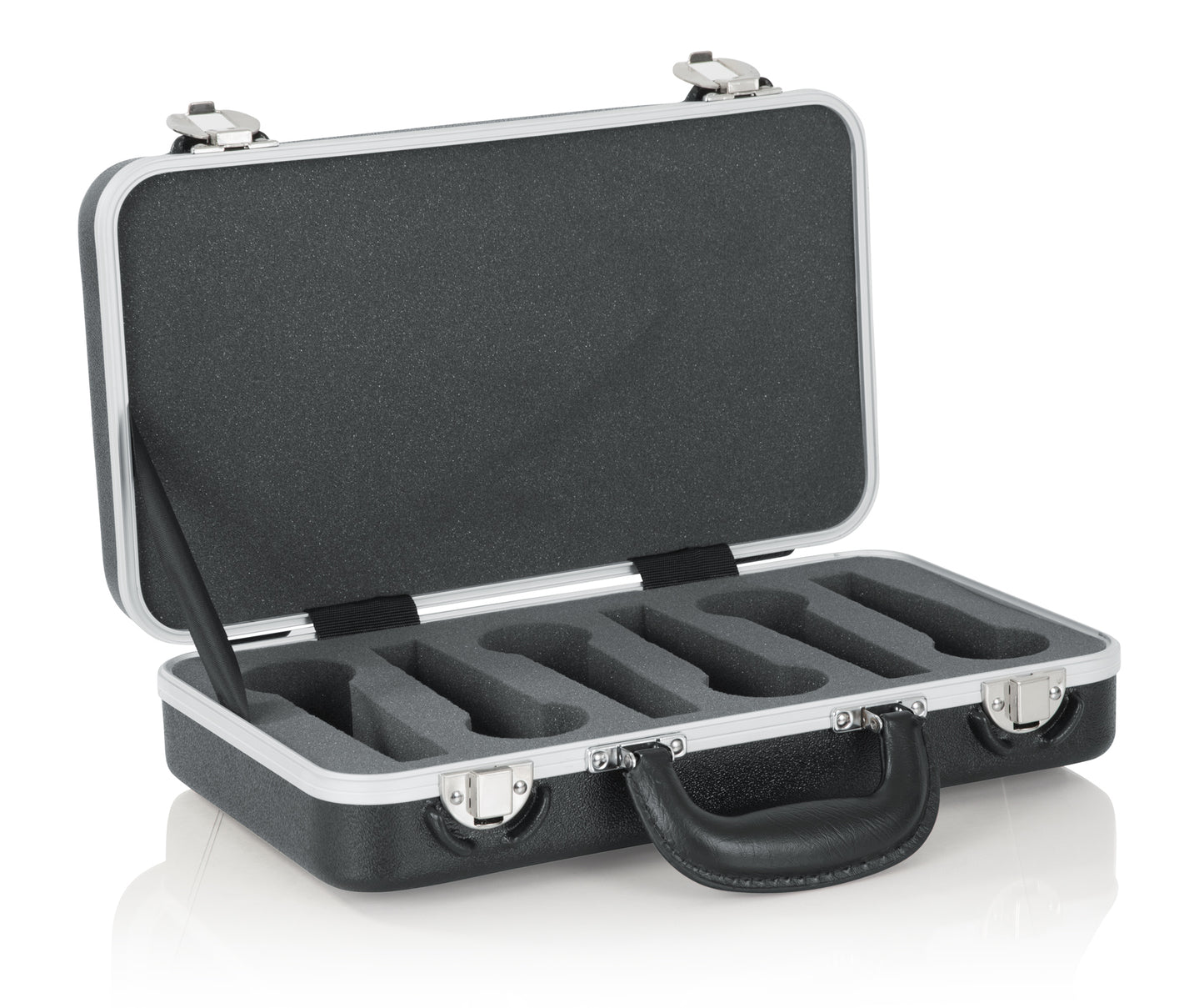 6 Microphones Case