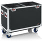 Flight Case for Two 250-Style Moving Head Lights