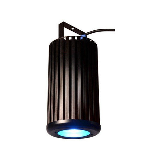 Medium Penn Lumina House Light