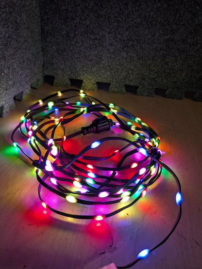SDE - 12v Seed Pixels