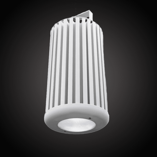 Medium Penn Lumina House Light