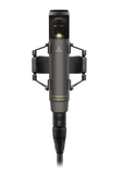 MKH 800 TWIN NX