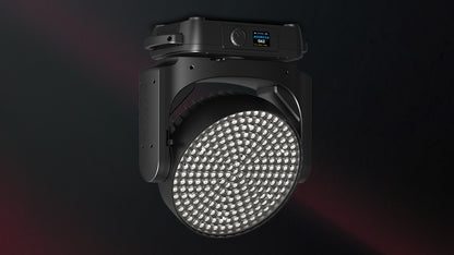 Wildsun K9 Wash