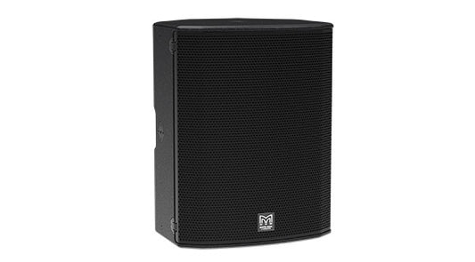 FlexPoint FP15 Loudspeaker