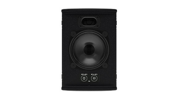 FlexPoint FP6 Loudspeaker