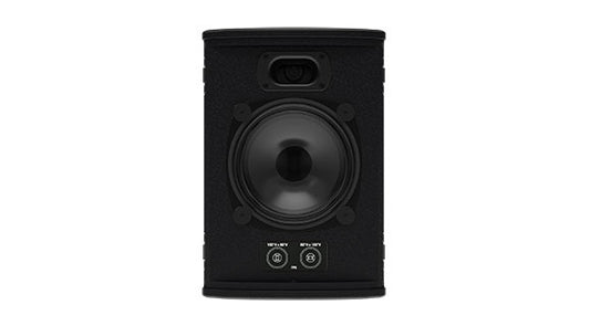 FlexPoint FP6 Loudspeaker