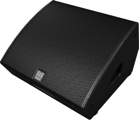 LE100 2-Way Passive Coaxial Stage Monitor, 12" LF, 1" Exit HF