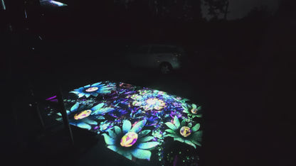 Dominar Play - Waterproof Interactive Projector