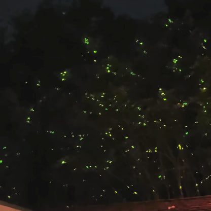 Dominar Firefly - Waterproof Firefly/Star Projector