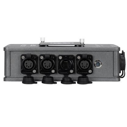 Netron RDM6 IP