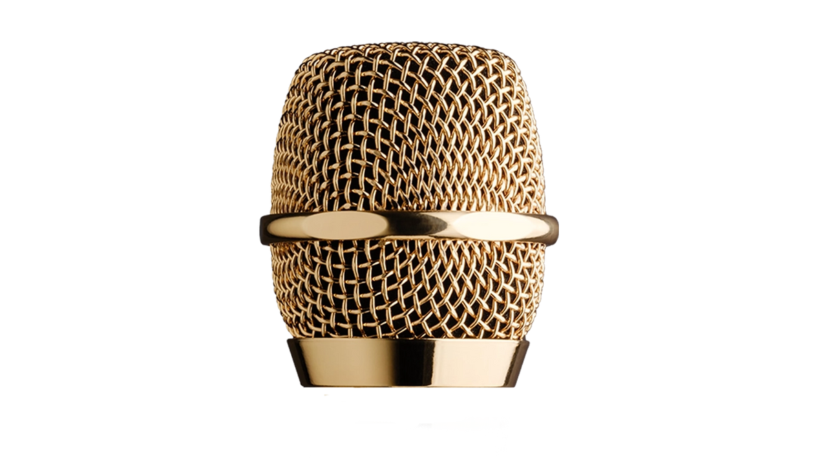 V7 Gold Dynamic Vocal Microphone