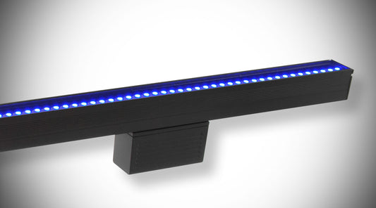 EPIX Strip IP